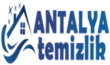 Anttemizlik